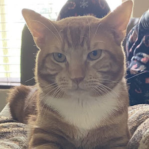 Meet your Posher, Monica